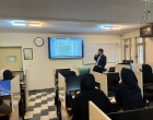 برگزاری موفقیت‌آمیز کارگاه تخصصی سه‌روزه «مرور نظام‌مند و متاآنالیز» در دانشکده پرستاری و مامایی اردبیل