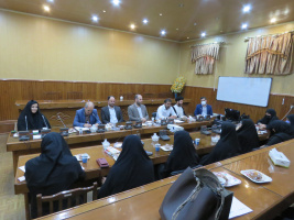 جلسه مشترک کمیته عفاف وحجاب وکمیته امربه معروف ونهی از منکر