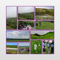 برگزاری اردوی تفریحی فرهنگی  یک روزه فندقلو ویژه دانشجویان گروه مامایی دانشکده